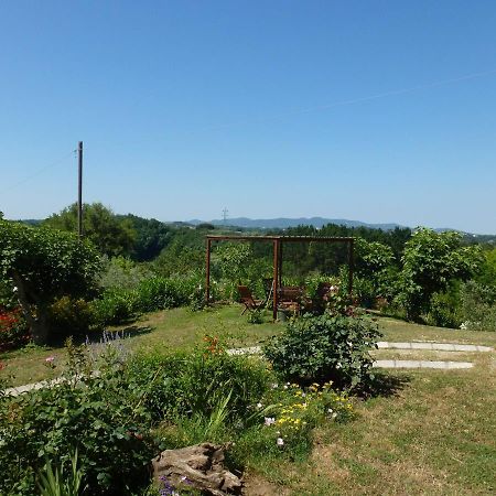 Agriturismo Poggio Al Tesoro Crespina Bagian luar foto