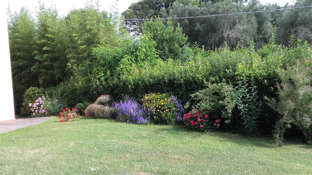 Agriturismo Poggio Al Tesoro Crespina Bagian luar foto