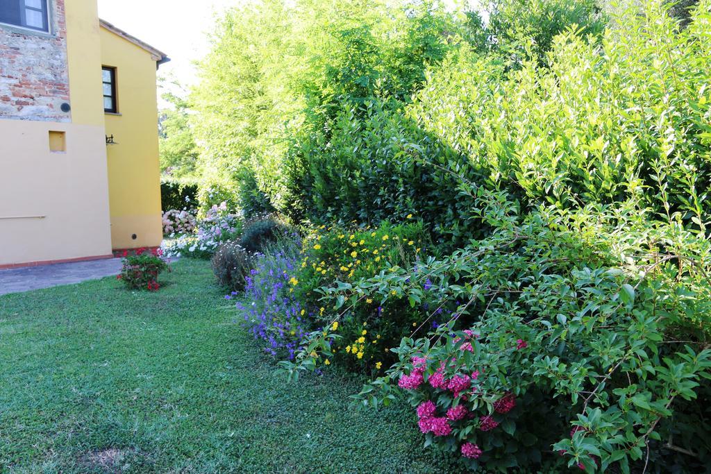 Agriturismo Poggio Al Tesoro Crespina Bagian luar foto